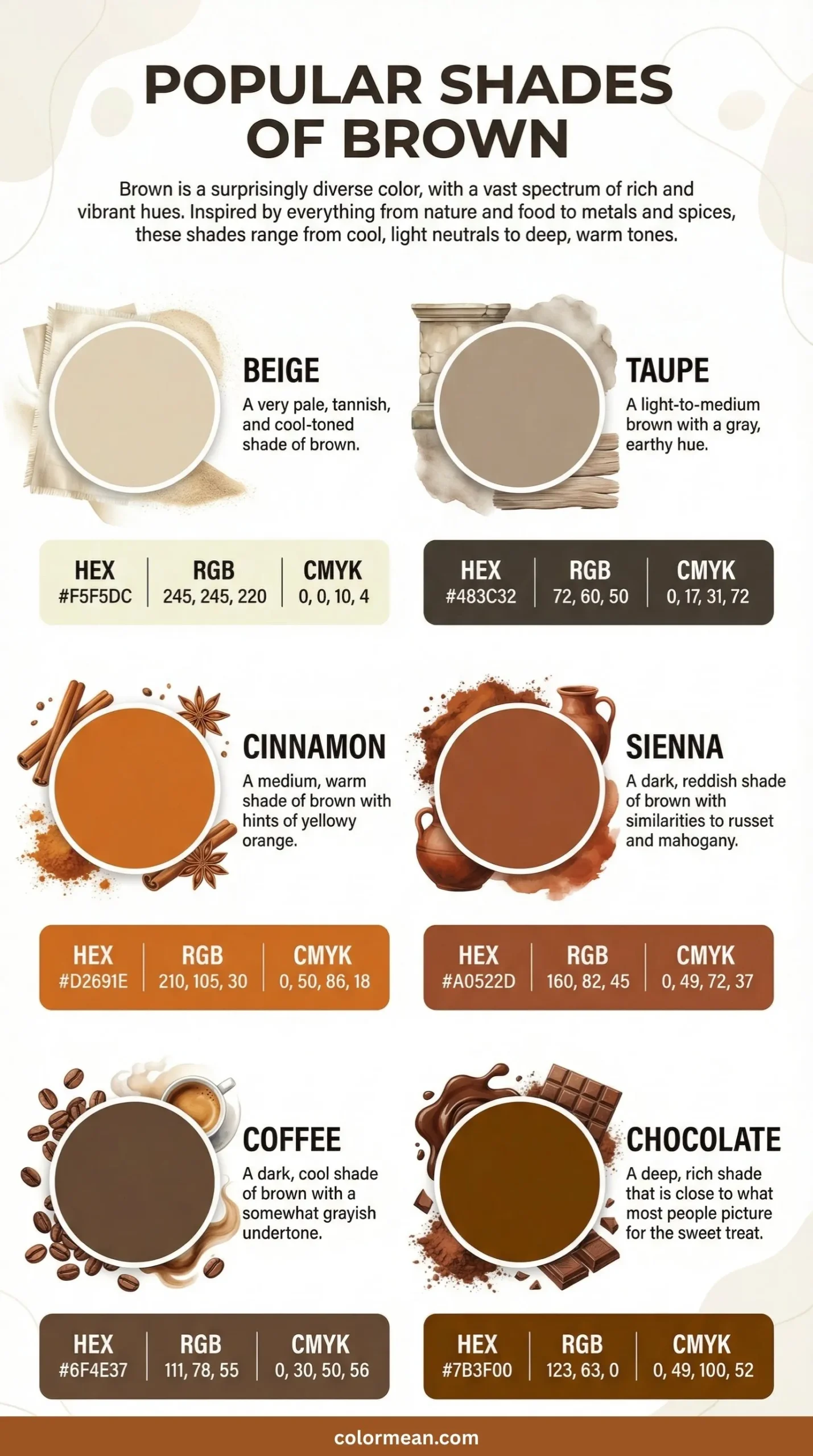 infographic showing popular shades of brown