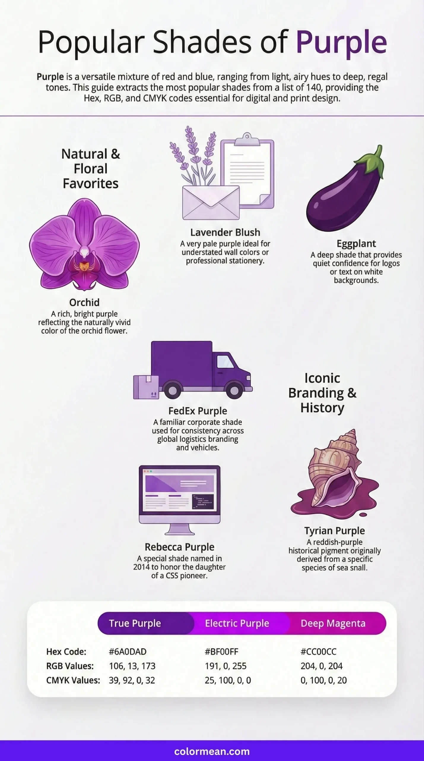 infographic showing popular shades of purple
