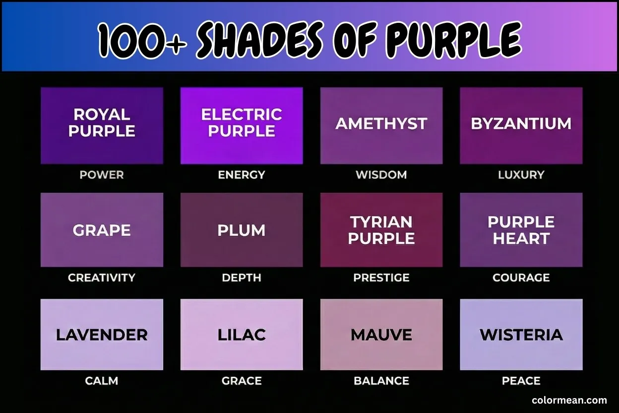 over 100 shades of purple color