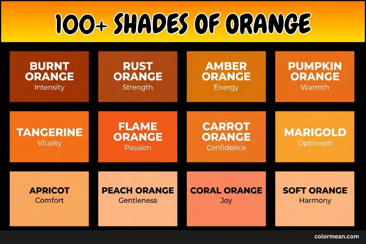 the image of different shades of orange color